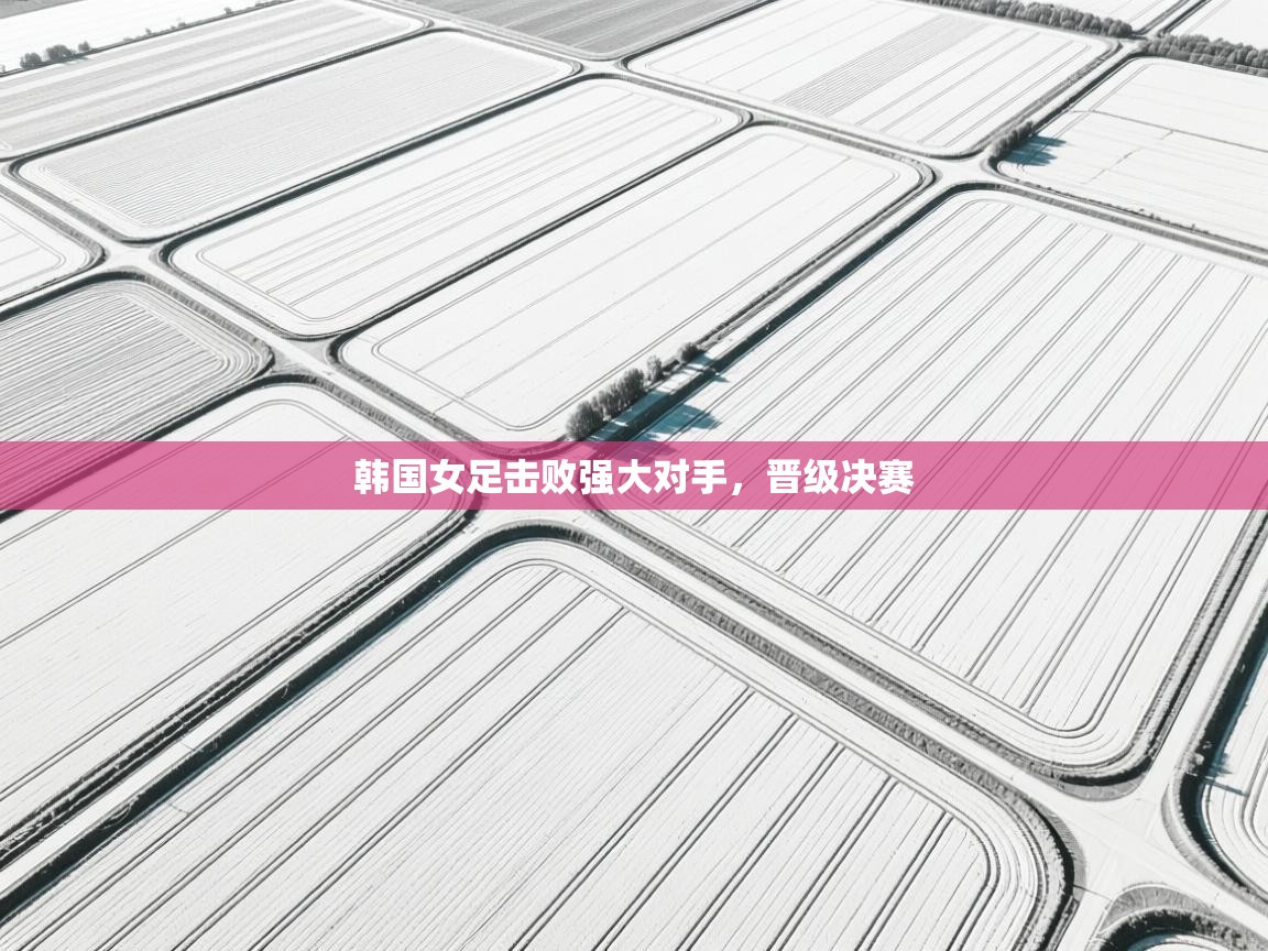 韩国女足击败强大对手,晋级决赛 第1张