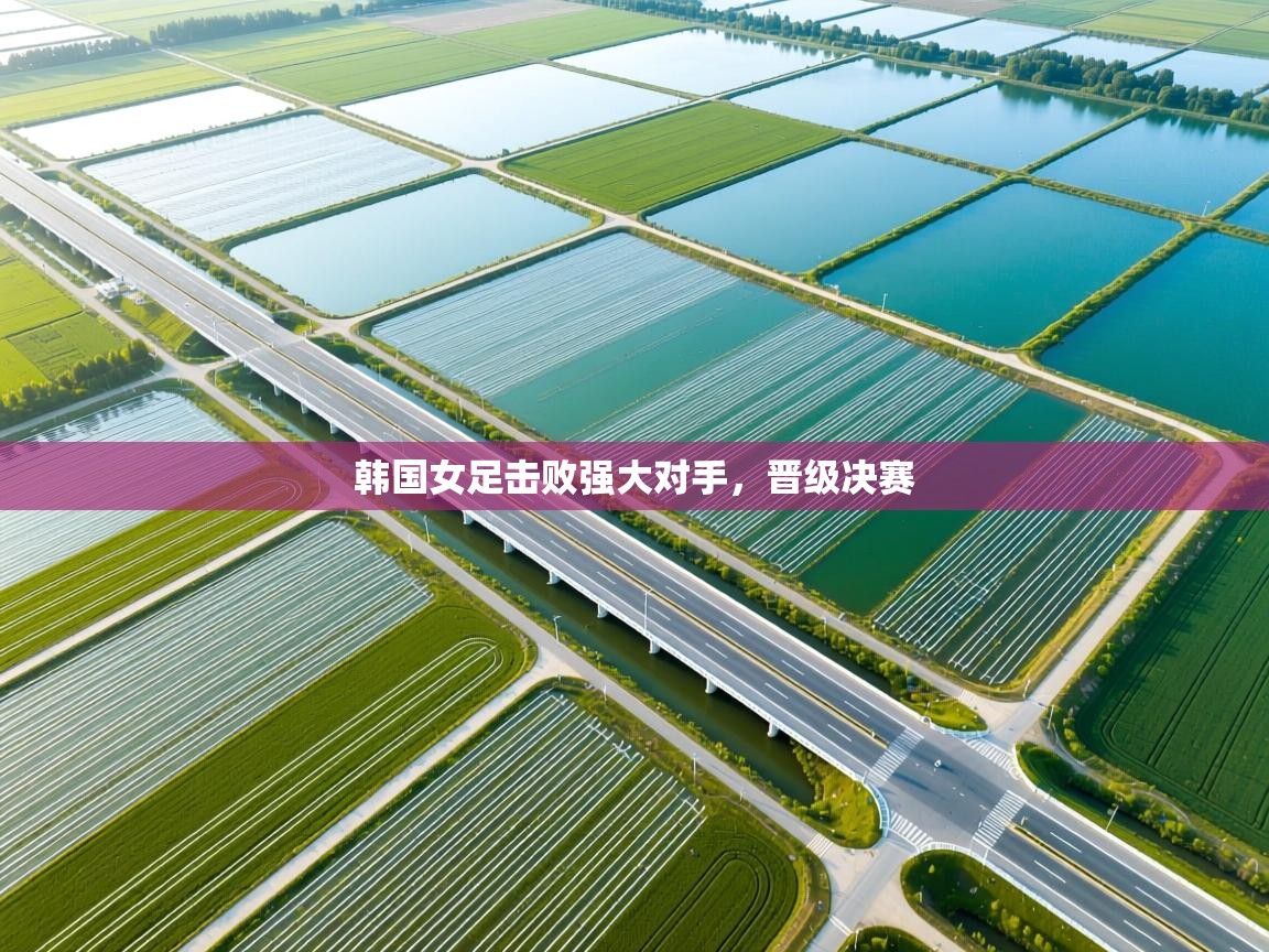 韩国女足击败强大对手,晋级决赛 第2张