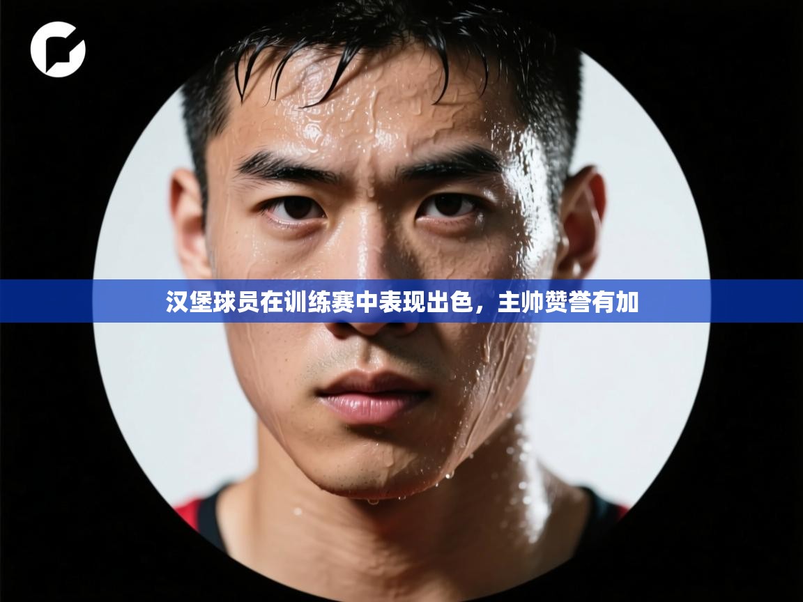 汉堡球员在训练赛中表现出色，主帅赞誉有加  第2张