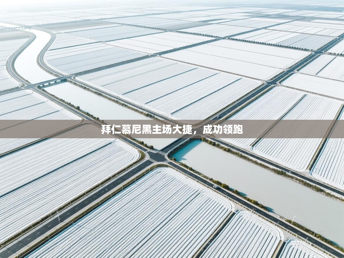 拜仁慕尼黑主场大捷，成功领跑  第1张