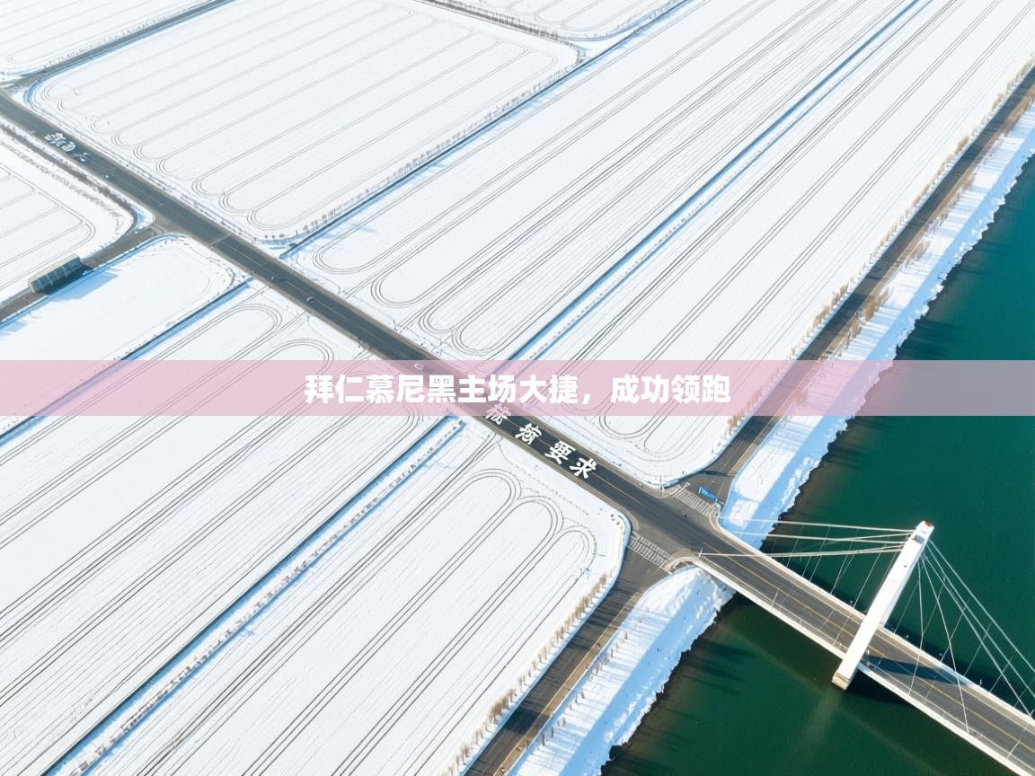 拜仁慕尼黑主场大捷，成功领跑  第2张