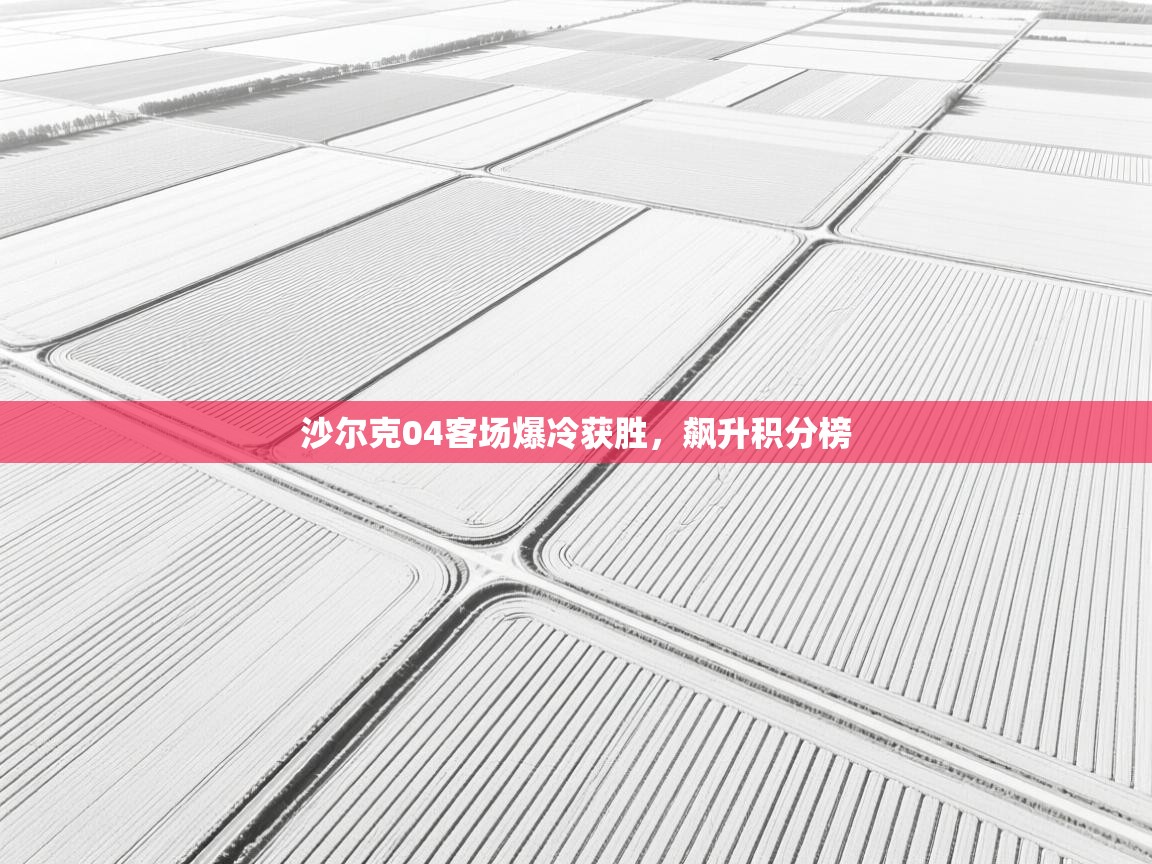 沙尔克04客场爆冷获胜，飙升积分榜  第2张