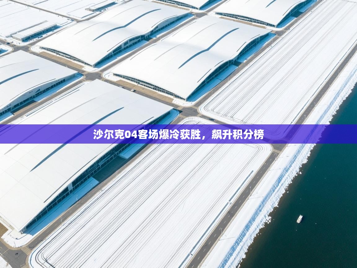 沙尔克04客场爆冷获胜，飙升积分榜  第1张